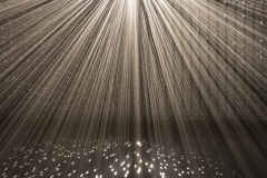 DSC01457ⓒToru-Tsuji