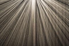 DSC01465ⓒToru-Tsuji