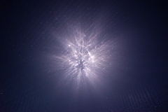 DSC00763x ©Yasuhiro Chida