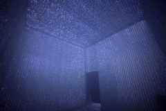 DSC01274x ©Yasuhiro Chida