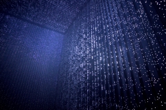 DSC01277x ©Yasuhiro Chida