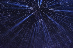 DSC_4538x © Yasuhiro Chida