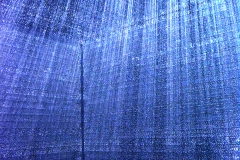 DSC_4545xx © Yasuhiro Chida