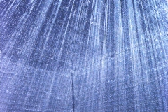 DSC_4546xxxxxxs © Yasuhiro Chida