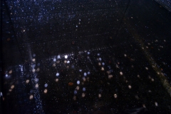 DSC_5516xx © Yasuhiro Chida