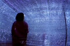 IMG_0708xm © Yoshifumi Tadokoro