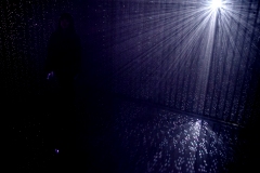 DSC04231xⓒYasuhiro Chida