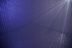 DSC04233xⓒYasuhiro Chida