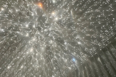 ⓒHirkohiko Koyamada8