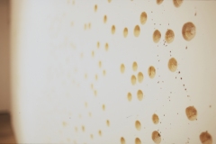 2614-17m-©-Kota-Kishi