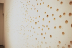 2614-5-©-Kota-Kishi