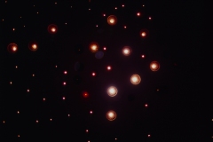 2615-12m-©-Kota-Kishi