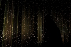 DSC_6184x © Yasuhiro Chida