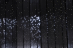 DSC_6378xxx © Yasuhiro Chida