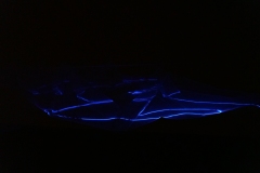 Contour-©-Yasuhiro-Chida