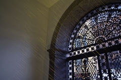 DSC03777x©Yasuhiro-Chida