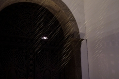 DSC03789x©Yasuhiro-Chida