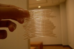 DSCN2627©Yasuhiro-Chida