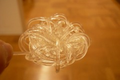 DSCN2628©Yasuhiro-Chida