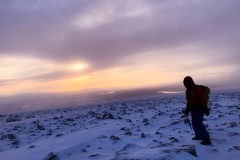 2528637B-BC3F-4502-B589-B5E3EA73D92C