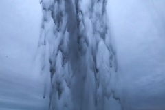 64750239-4F9F-4D36-8D72-D3CE453ECCE6