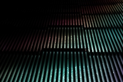 KuPR-1-12©Kishin Himori