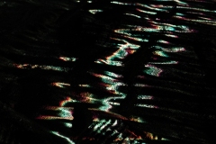 KuPR-1-18©Kishin Himori