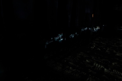 KuPR-1-24©Kishin Himori