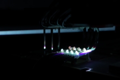 KuPR-1-28©Kishin Himori