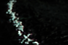 KuPR-1-30©Kishin Himori