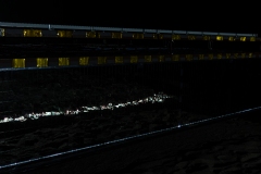 KuPR-1-32©Kishin Himori