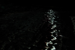 KuPR-1-33©Kishin Himori