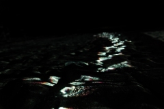 KuPR-1-34©Kishin Himori