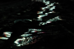 KuPR-1-35©Kishin Himori