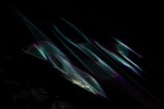 KuPR-1-39©Kishin Himori