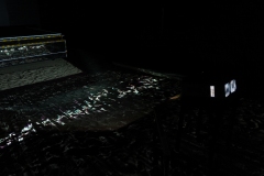 KuPR-1-40©Kishin Himori