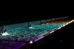 KuPR-1-8©Kishin Himori