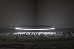 IMG_3805-©-Toru-Tsuji