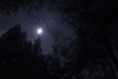 R0017048x©Yasuhiro-Chida