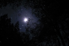 R0017055©Yasuhiro-Chida