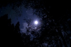 R0017064©Yasuhiro-Chida