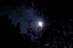 R0017068©Yasuhiro-Chida