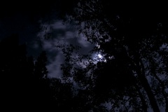 R0017071©Yasuhiro-Chida