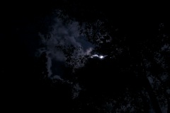 R0017074©Yasuhiro-Chida