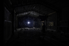 Myrkviﾃｰr-1©Kishin-Himori