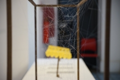 DSC03803©Yasuhiro-Chida