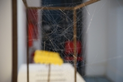 DSC03804©Yasuhiro-Chida