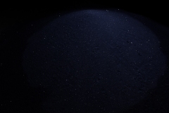 Repose-6