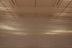 DSC05885