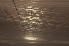 DSC05890